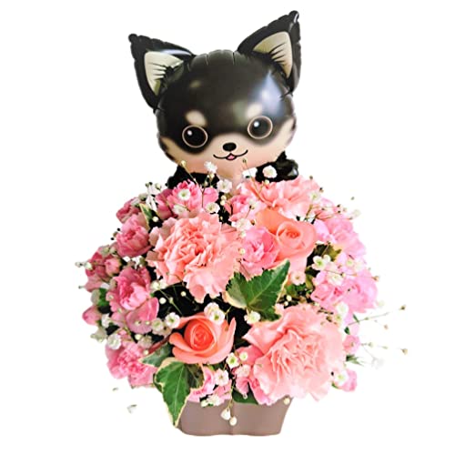 y ԋE{Xz t[Mtg IWi  t[AWg  Mtg a  w ̓  AW җ LO ̓ ̓ NX}X \ v[g j   hV̓ 蕨 (Fo[t