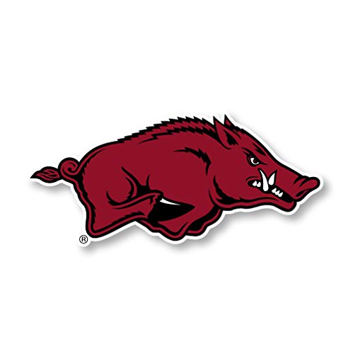 Arkansas Razorbacks 12 Inch Vinyl Mascot Magnet Officially Licensed Collegiate Product