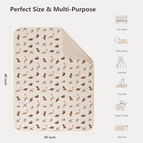 Image of Susurration Baby Blanket for Unisex Boys Girls, Soft Nursery Minky Blanket with Muslin Cotton Front and Dotted Fleece Back, Receiving Blanket for Baby Newborn Infant, 30x40inch (Dinosaur)