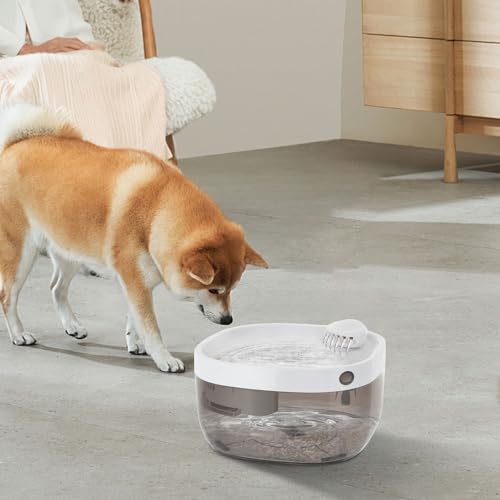Fuente de Agua para Gatos con Filtro 1.5L miniatura 6
