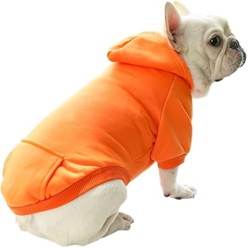 yH~ԁz[LANWHO]   H~ hR[g  ybg ӂӂ R[g WPbg ybg {A wJ hbOEFA p[J[  h ^ q L m ` o U Ot