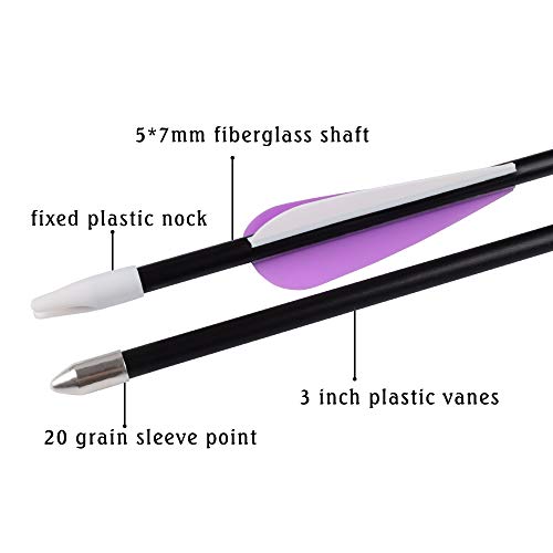 Elong Fiberglass Arrows Archery 26 Inch Target Shooting Practice Safety Recurve Bows Purple Suitable for Youth Kid Woman Beginner(6pcs)