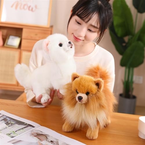 RDCIRP Simulation Pomeranian Plüsch, süßes Kuscheltier, Plüsch-Hundespielzeug, Flauschige Hunde-Plüschpuppe, Geschenke for Jungen und Mädchen for Geburtstag(braun)