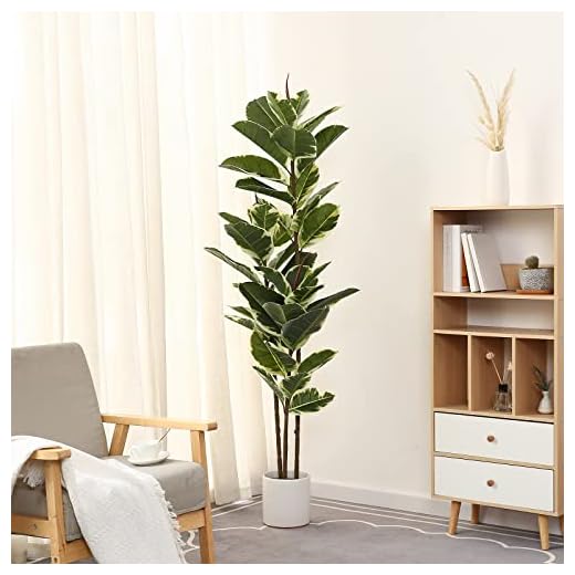 5ft Tall Artificial Rubber Tree Plant
