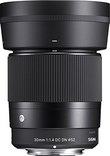 Sigma 35mm f/1.4 lens