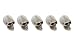 The Fiddlehead Fairy Garden Miniature Skulls Accessory Set (Set of 5) #16497