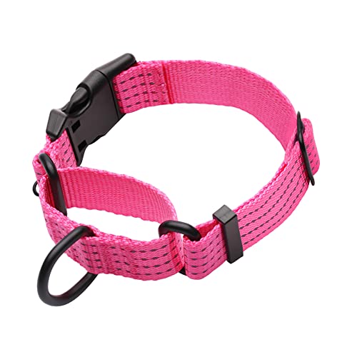 JOOCPUP Martingale Collar for Dogs, Adjustable Soft Nylon Dog Collars ...