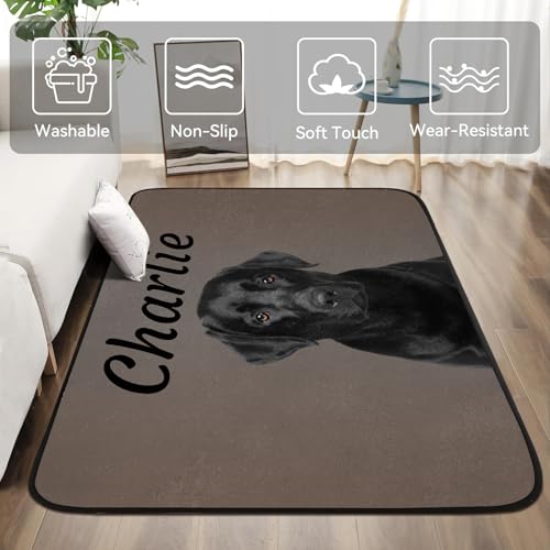 Tapete personalizado para mascotas con foto y nombre 45x61 cm miniatura 2