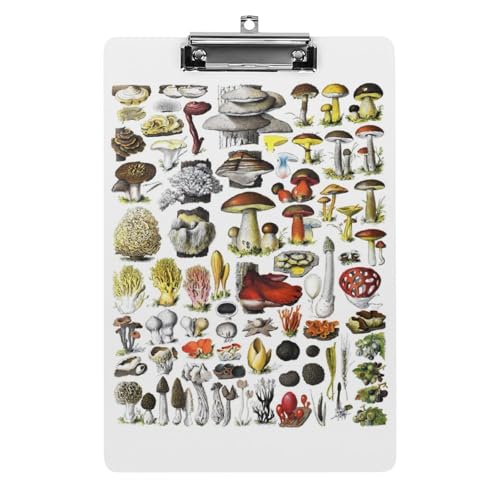 Nbv{[h A4 c^ Be[W  ̂̎ t@C{[h Ǌ|  ₷ v{[h Ď^т₷  [ cpbh pi  wZ ƒpoC_[