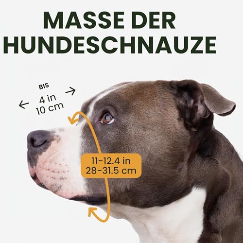 BRONZEDOG Maulkorb für Pitbull Hund aus atmungsaktivem Metallkorb für große Hunde wie Amstaff und Staffordshire Terrier – mit Nylonriemen – gegen Beißen, Kauen und Bellen