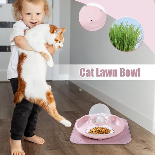 Cat Feeding Bowls | Multifunctional Kitten Dishes for Food and Water | Anti-Slip Kitten Watering Container for Mealtime Routine Indoor Outdoor Balcony Bedroom Living Room Office Garden Patio Park Apar - Image 3