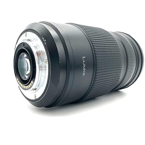 レンズ(ズーム) Panasonic LUMIX G VARIO 100-300 F4-5.6II Panasonic Lumix G Vario 100-300mm F4-5.6 II Power OIS