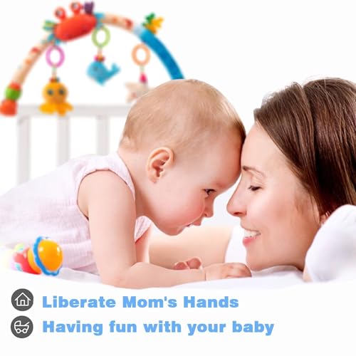 Image of Pau1Hami1ton Baby Stroller Arch Toys, Car Seat Toys,Baby Gifts.S-19(Fish)