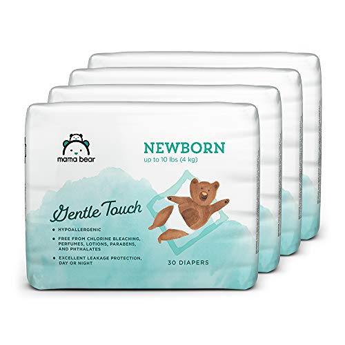 Best Diapers For Newborns 10Reviewz