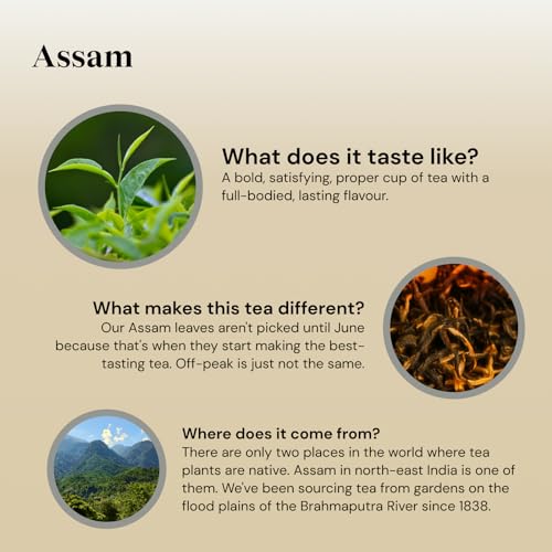 Twinings Assam Tea | Strong, Bold & Malty Black Tea | Refreshing & invigorating Indian Tea Blend | Multipack Bulk Buy, 320 (4 x 80) Biodegradable Tea Bags