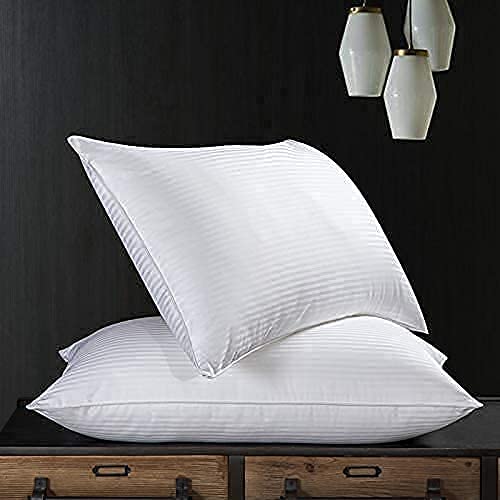 Unite source Cotton Filled Pillows, 40 cm x 60cm, 2 Piece Set, Antique White Micro Peach Fabric