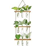 Valyrane Vase Mural en Verre à 3 Niveaux avec Support en Bois – Station de Propagation rétro pour Plantes hydroponiques, 9 Tubes à essai pour décoration intérieure, Bureau et Jardin (70x20cm)