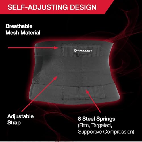 Mueller Adjustable Back Brace