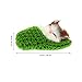 Ciieeo in Slippers Cats Doll Toy Mini Kitten in Shoe with Meows Sounds Sleeping Kitten Toy Decors for Home Table Car Decor Kids (Green)