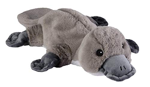 Coussin chauffant original ornithorynque, idée cadeau bien-être