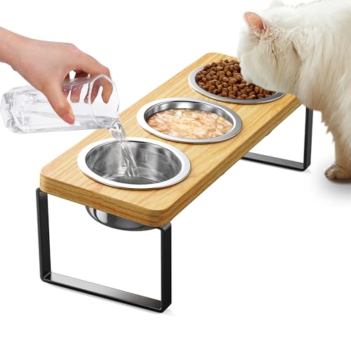 Elevated Cat Bowls with 3 Stainless Steel Bowls | 10° Tilted Anti-Vomiting Raised Cat Food Bowl for Small Cats and Puppies Pet Bowl with Stand