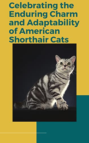 True Blue Americans: Celebrating the Enduring Charm and Adaptability of American Shorthair Cats