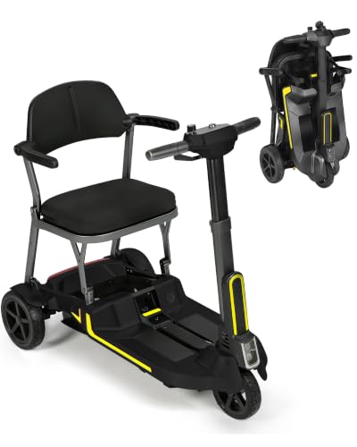 Ecomobi M3 Folding Scooter