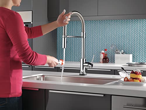 Image of Delta Faucet Trinsic Pro Single-Handle Spring Spout Touch Kitchen Sink Faucet with Pull Down Sprayer, Touch2O Technology and Magnetic Docking Spray Head, Chrome 9659T-DST