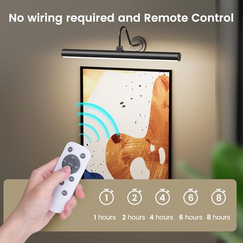 Bridika Luz de imagem operada por bateria, luzes de imagem de 42 cm para parede com controle remoto,