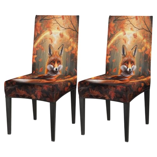 Mexpekil Juego de 2 fundas elásticas para sillas de comedor, diseño de zorro de bosque otoñal, fundas elásticas lavables para sillas de derrames, mascotas, manchas, cocina, hotel, fiesta, decoración