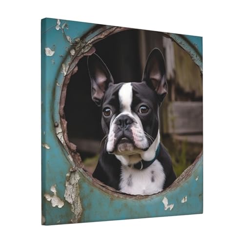 Toile Boston Terrier 30,5x30,5cm deco murale salon chambre et bureau moderne