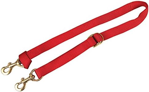 Weaver Leather Deluxe Nylon Tiedown Strap (Red, 1x40 Adjustable) 35-4005-RD