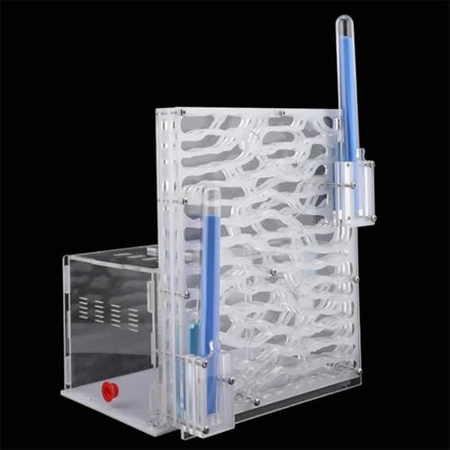 Vlwm 透明アクリル製アリ観察ケース 大型45×30×20cm 保湿給水機能付き 科学実験キット 昆虫ヴィラ用ペット飼育システム 学生向け教材・ギフト (ホワイト)