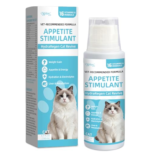 Recovery & Energy Support for Cats