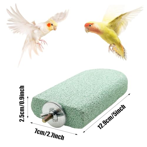 Image of Pet Teeth Grinding Stone and Perch, Bird Perch Stands, Natural Chewing Toys for Small Medium Birds Budgies Conures Cockatiels Rats (4 Colores, Big)