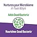 Culturelle Daily Probiotic Gummies for Women & Men, Berry Flavor, 52 Count, Naturally-Sourced Daily Probiotic + Prebiotic for Digestive Health, Non-GMO & Vegan
