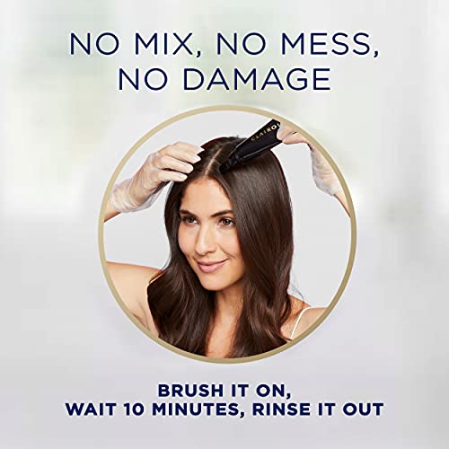 Clairol Root Touch-Up Semi-Permanent Hair Color Blending Gel, 7 Dark Blonde, Pack Of 1 #TOP4