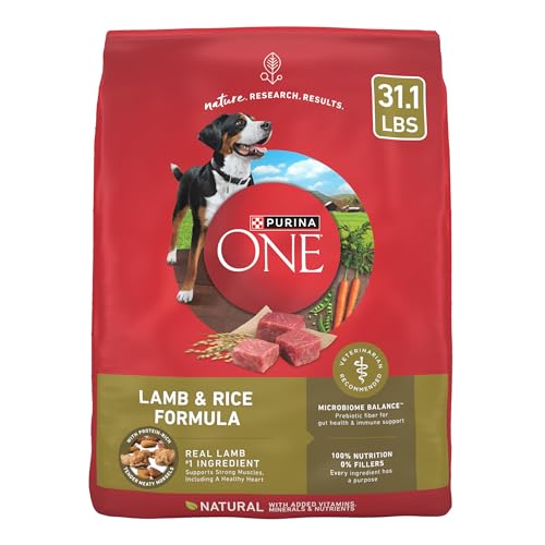 Purina ONE Dry Dog Food...