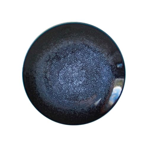 [美濃焼] テラグラーズ ディナープレート インディゴ 1客