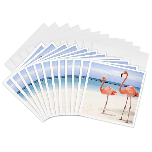 Cartes de vœux flamant rose haut de gamme 15x15 cm 3dRose