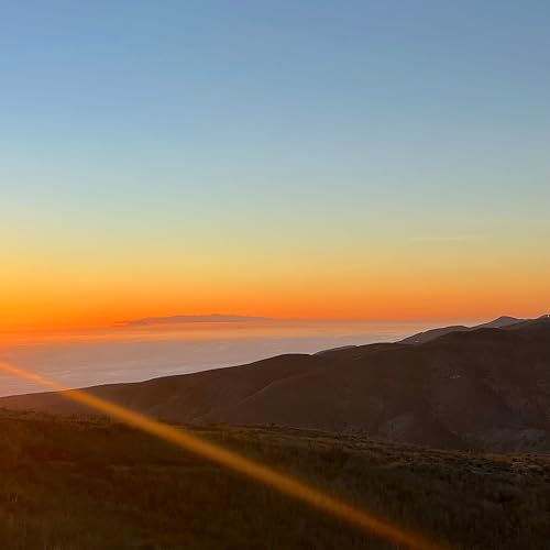 William Hevans & Lightwerx Collective