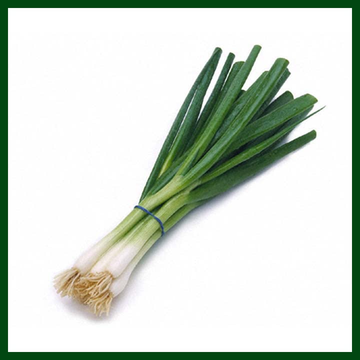 Green World Bunching Onion For Kitchen Gardening (Seed, 50) (B0B6GK27FP) Amazon Price History, Amazon Price Tracker