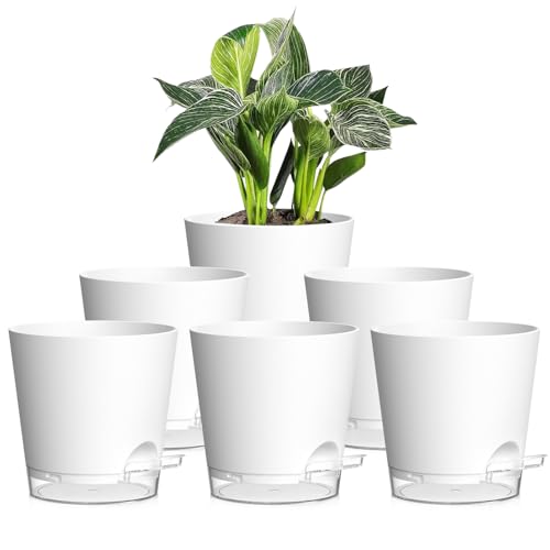 15cm Self Watering Plant Pots Indoor, 6 Pack Plastic Planters with Drainage Holes & Saucer, Ideal for All Indoor Outdoor House Plants(White With Transparent Drainage)
