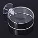 Shrimp Feeder Glass Feeding Dish Aquarium Fish For Tank Reptiles Round Clear Food Bowl With Suction Cups 2.4x0.7 Inch Shrimp Feeding Dish Shrimp Feeding Dish And Tube Shrimp Feeding Dish With Suction