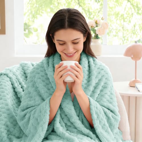 Image of BEDELITE Haze Blue Throw Blanket for Couch, Soft Cozy Gift for Women, 50*60