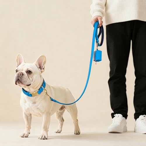 Collier chien anti irritation rembourré léger et solide bleu M