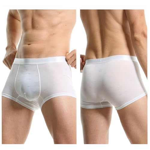 Men's Boxer Briefs Underwear Ice Silk See Through Ultra Thin Bulge Pouch Boxer Briefs4