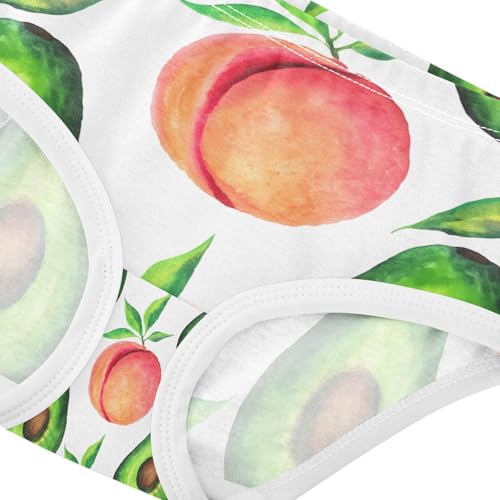 Watercolor Peaches Toddler Girls's Underwear 2T 202c14034