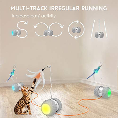 image for MalsiPree Remote Control Interactive Cat Toys for Indoor Cats, 2 Speed