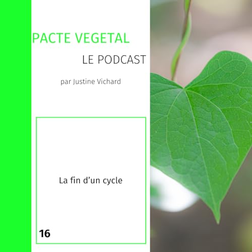 Episode 16 - La fin d'un cycle